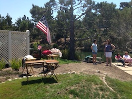 flag & food